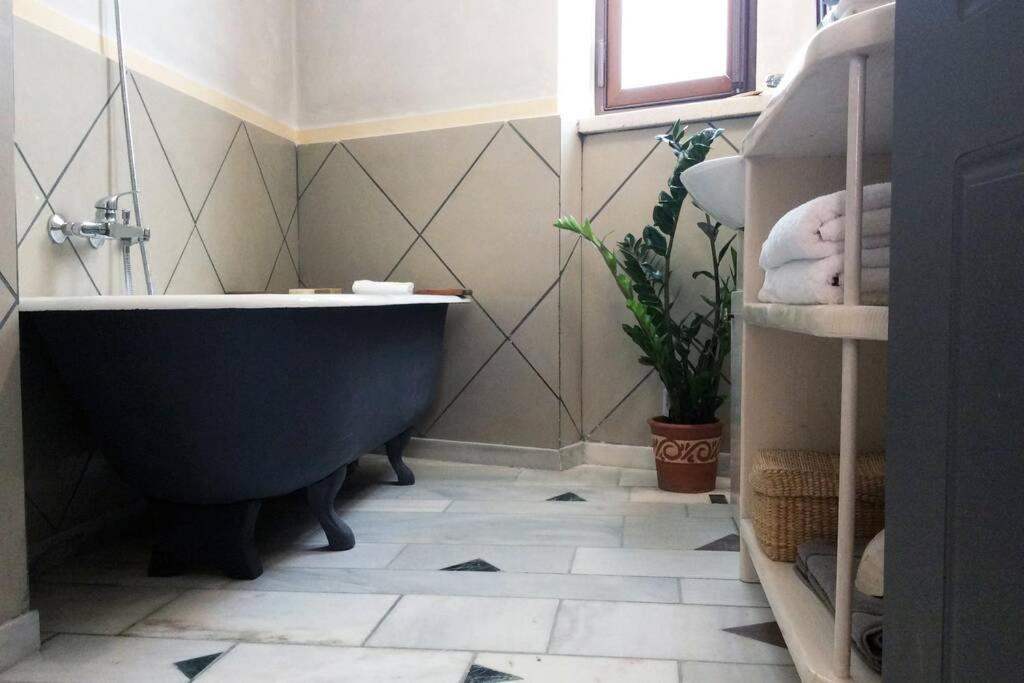 Unique - Spacious Studio With Rooftop / Thissio Athènes Extérieur photo